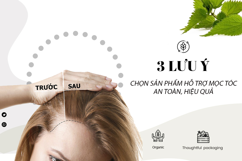 3 lưu ý giúp bạn chọn sản phẩm hỗ trợ mọc tóc an toàn và hiệu quả