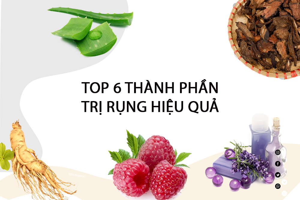 Top 6 thành phần tự nhiên chống rụng tóc hiệu quả bạn nên biết